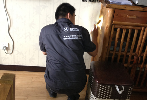 除滅螞蟻|家里墻縫有螞蟻怎么辦能除根？-東方漢諾-北京快訊