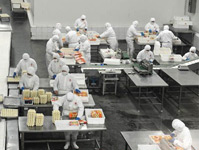 食品加工業(yè)殺蟲滅鼠
